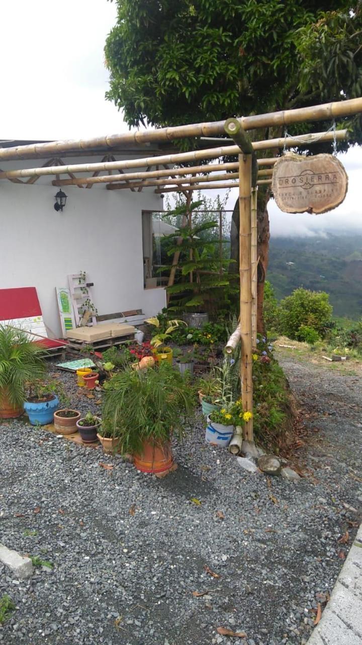 Hotel Glamping Orosierra à Chinchiná Extérieur photo
