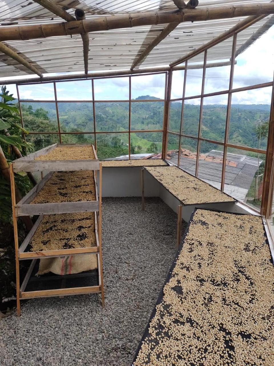 Hotel Glamping Orosierra à Chinchiná Extérieur photo
